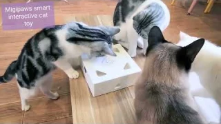 Lighting Deal Whack A Mole Smart Cat toy