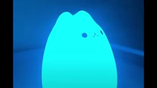Celebrity cat night light review!
