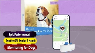Tractive GPS Tracker and Health Monitor for Dogs 2026 Ultimate Review and Setup Guide