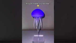 Flying Jellyfish Lamp For Your Loved Ones! #jellyfish #lamp #nightlamp