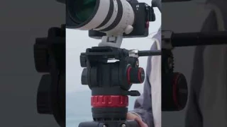 NEEWER TP75 74 Pro Video Tripod with Fluid Head