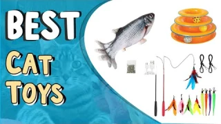 Top 5 Best Cat Toys Review  _ How Use Cat Toys _ Fun Cat Toys Your Pet Will Love,