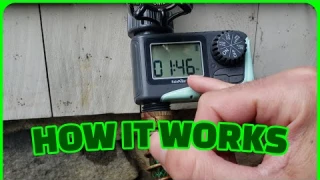 RainPoint Water Timer REVIEW | How it Works