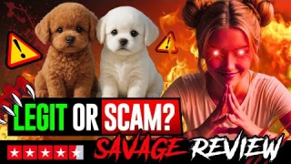 Wuffy Robot Dog Review: Scam or Smart AI Puppy? (2026)