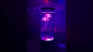 Set up my jellyfish lamp with me! 🪼