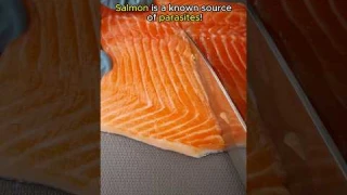 Parasites in Raw Salmon?