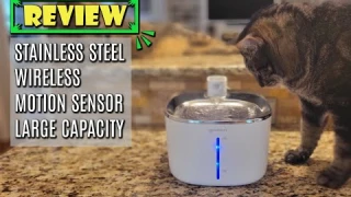 No More Cables: Wireless Cat Water Fountain with Motion Sensor - Review