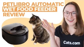 PETLIBRO Automatic Wet Food Feeder Review
