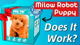 Milow Realistic Robot Puppy Review - Scam Or Legit?