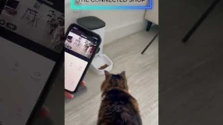 🐱 Best Smart Video Pet Feeder on the market  #petfeeder #petaccessories  #petsupplies #petfood