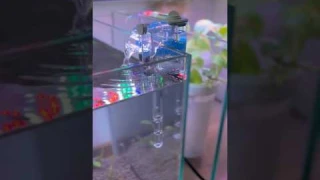 #shorts ONE OF THE BEST mini hang on back filter for nano aquariums | NEPALL hang on back filter