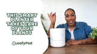 The Smart Planter That Actually Works | LeafyPod Review