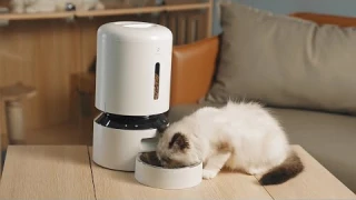 Petlibro Granary WIFI Control Automatic Pet Feeder  5L  . Purchase link below.