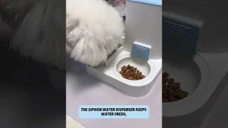 2-in-1 Automatic Pet Feeder: Perfect for Busy Pet Parents!