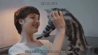 PETLIBRO Automatic Cat Feeder Review: Is the 1080P Camera & 5G WiFi Worth It for Your Pets?