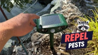 PHIMINNEX Ultrasonic Animal Repellent Review!