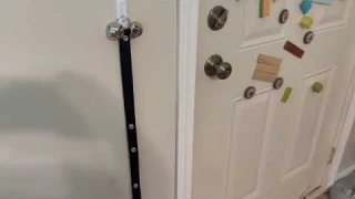 BLUETREE Dog Doorbells Premium Quality Training Potty Great Dog Bells Review