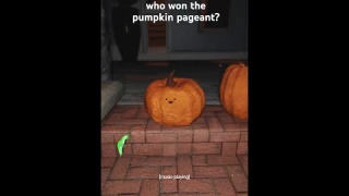 which super normal pumpkin are you 🙂 @lightsareoff #halloween #jackolantern #pumpkin