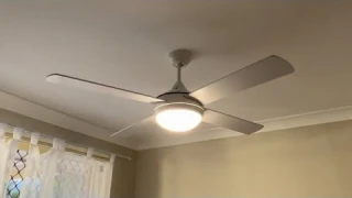 Brilliant Lighting Trash Making Huge Noise