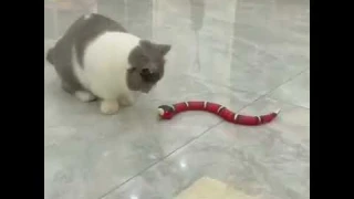 Smart Sensing Snake Toys Lifelike Animal Pet Toys Funny