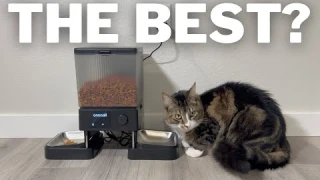 Oneisall Wifi Cat Feeder Review | Best Automatic Cat Feeder On Amazon?