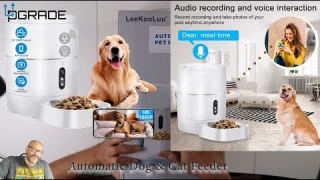 Automatic Dog & Cat Feeder