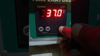 Incubator Temperature Settings