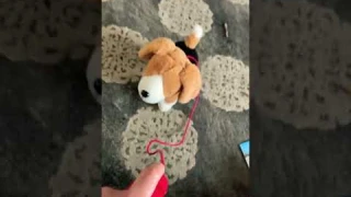 Review on Kid Connection Electronic Walking Pet, Puppy #review #toy #dog #walmart