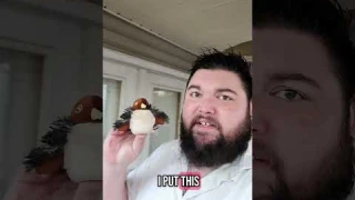 Flappy Bird Cat Toy | USB Rechargeable Fun for Happy Cats #CatToy #CatLovers