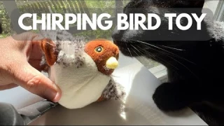 Potaroma Cat Toys Rechargeable Flapping Bird Sparrow, Lifelike Chirp Tweet, Touch Activated Review