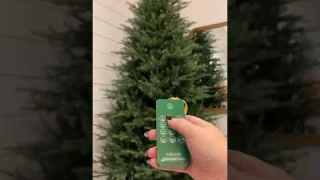 The TikTok viral twinkle tree-home depot! #christmastree #shorts