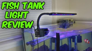 This is a great light for small fish tanks!
