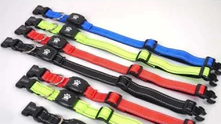 GPS Dog Tracker Collar 2 in 1