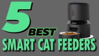 5 Best Smart Cat Feeder 2022