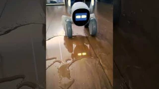 #robotdog  #loona Robot Dog Isn’t this more fun than an iron egg