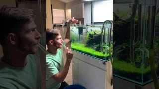 Stop using your mouth to start the suction #shorts #aquarium