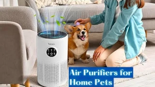 3 Reasons Why Tailulu D10 HEPA Air Purifier is a Game Changer for Home Pets
