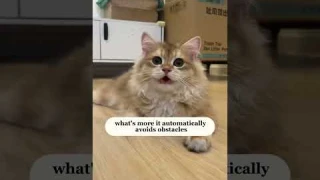 🐾 Speedy Tail 2.0 Smart Cat Toy Ball – The Ultimate Playtime Upgrade! 🎾🐱 #cat #pets #cute